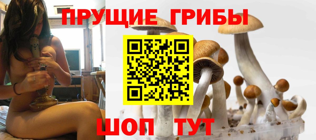 Джанкой  Галлюциногенные грибы GOLDEN TEACHER  Вход с VPN 